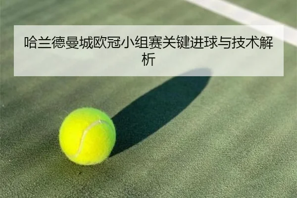 哈兰德曼城欧冠小组赛关键进球与技术解析 - xingkongsports